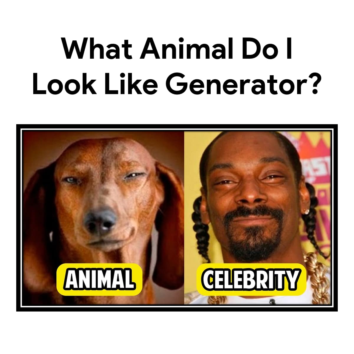 what animal do i look like upload photo