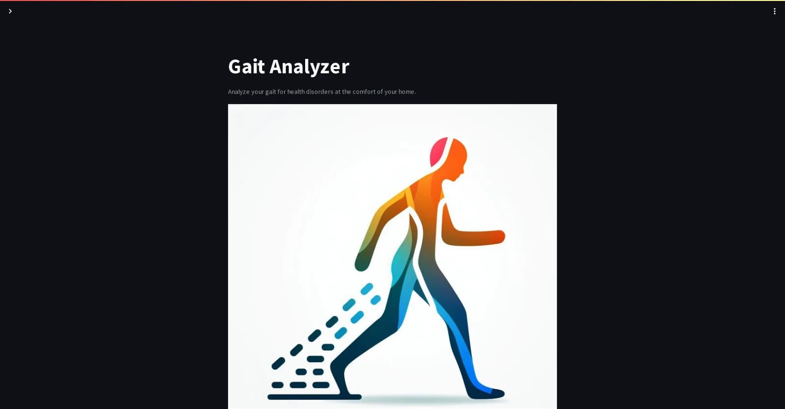 Gait Analyzer Gait Analyzer