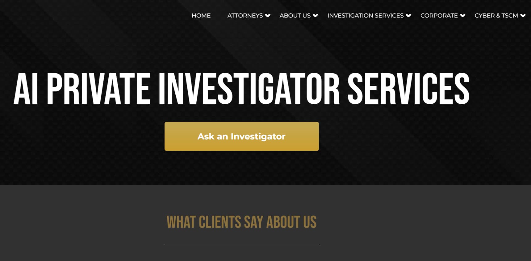 AI Private Investigator By Srecon AI Private Investigator By Srecon