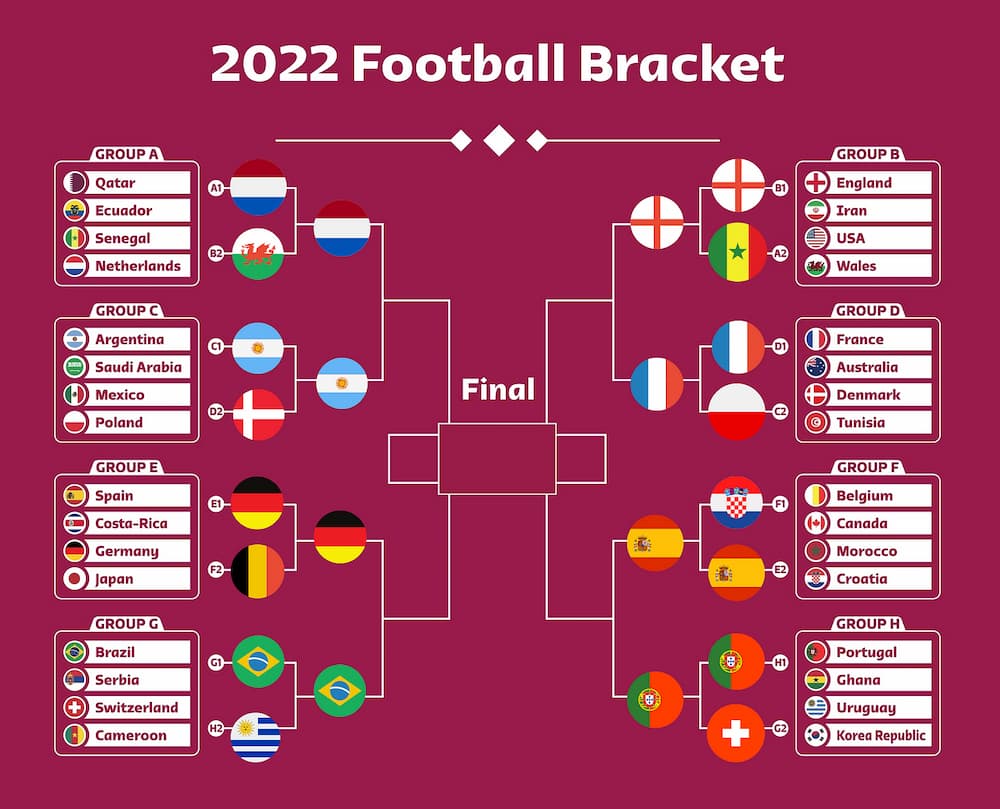 Predicting The FIFA World Cup 2022 using Python