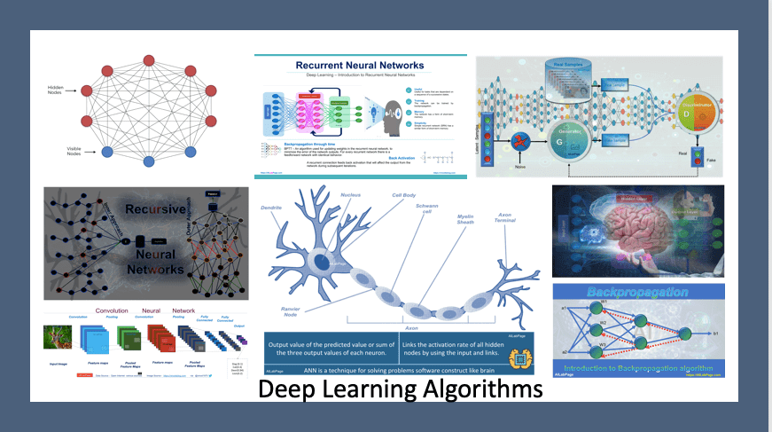 Machine Learning Algorithms for Beginners