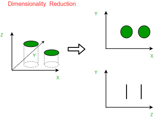 Types of Machine Learning Algorithms For Beginners Machine Learning Algorithms for Beginners