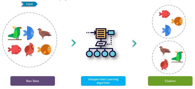 Machine Learning Algorithms for Beginners