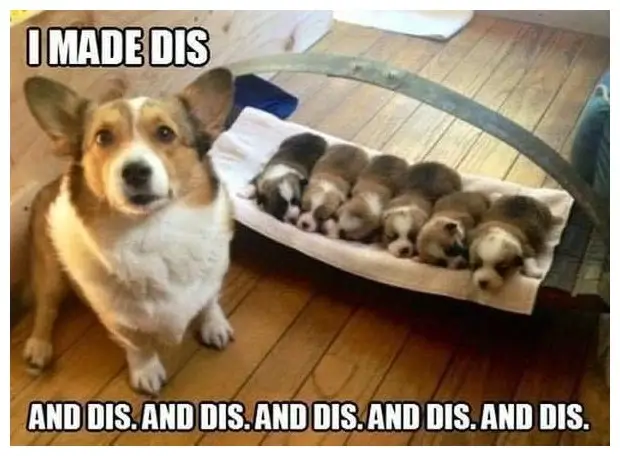 20+ Programming Concepts Through Memes advanced programming concepts