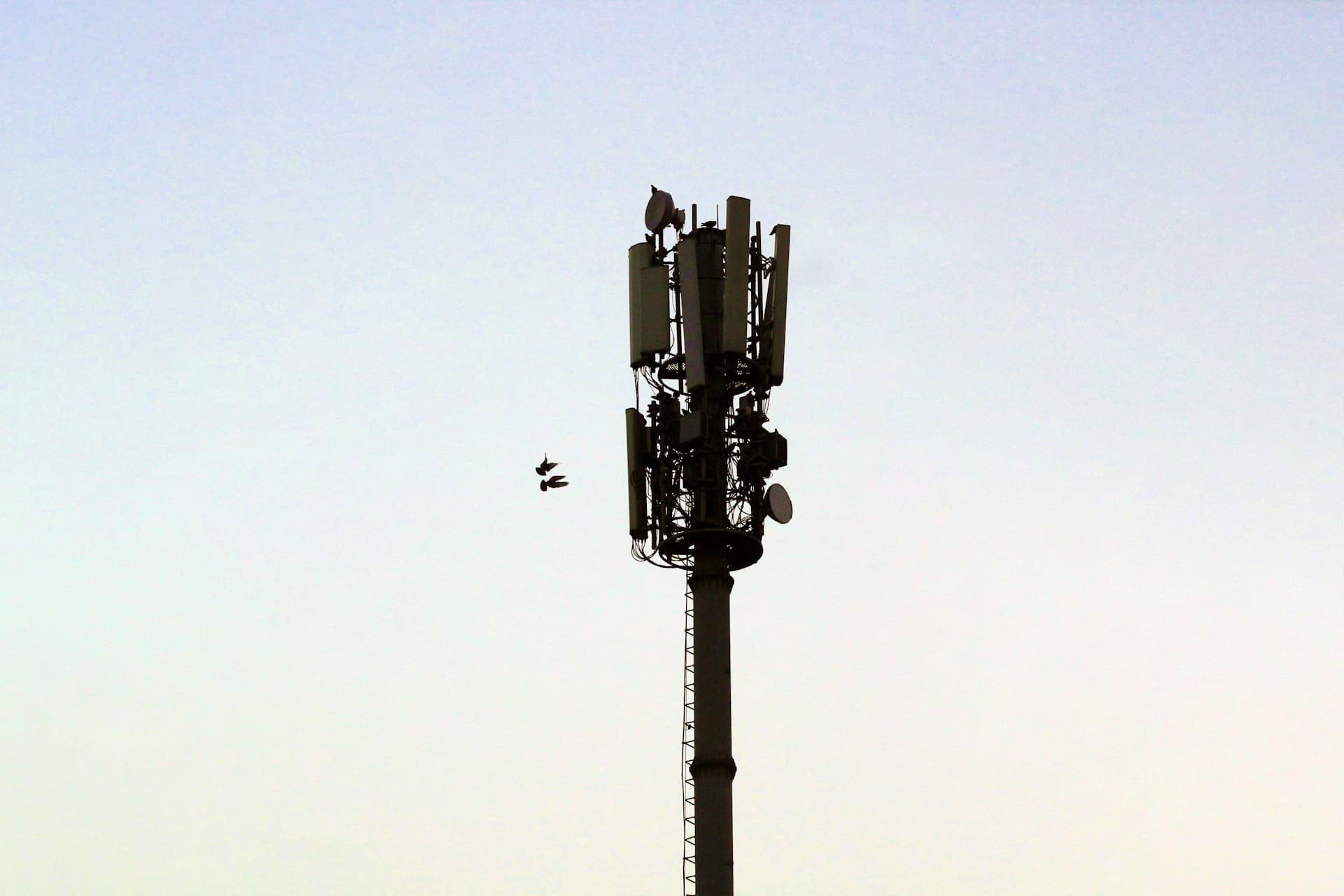 The Impact of 5G on Entertainment App Performance and User Experience The Impact of 5G on Entertainment App Performance and User Experience